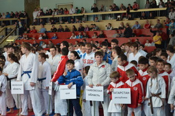 Делегация Ставропольского края на турнирах по сетокан карате-до в Москве