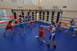 Тренировка боксеров