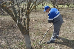 Субботник в Изобильном.