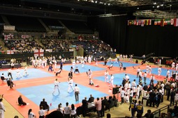 Основные соревнования турнира проходили параллельно на шести татами.