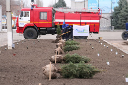 Работники Моздокского ЛПУМГ высадили около ста саженцев