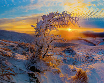 Зимний Стрижамент. Из фотоальбома "Заповедное Ставрополье".