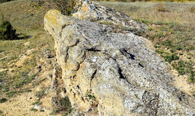 Природный заказник "Подлужненский". Фото из свободных интернет-источников