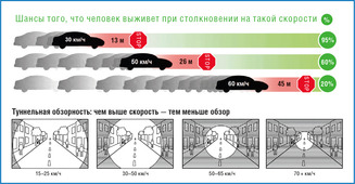 Инфографика о соблюдении скоростного режима