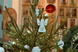 В Храме Рождества Пресвятой Богородицы станицы Рождественской Ставропольского края