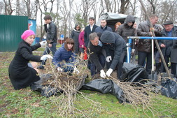 Акция "Сирень Победы" в г. Ставрополе