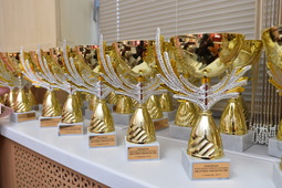 Награды призеров конкурса