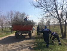 Уборка в селе Привольном Ставропольского края. Фото Андрея Сигалина