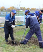 Газовики высаживают деревья в Камыш-Бурунском ЛПУМГ