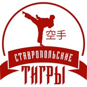 Логотип социального проекта "Ставропольские тигры"