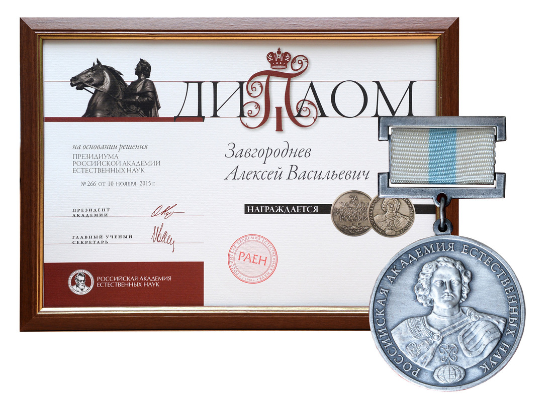 Диплом и медаль Российской академии естественных наук