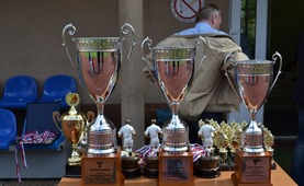 Кубки победителей и призеров состязаний.