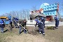 Генеральный директор ООО "Газпром трансгаз Ставрополь" Алексей Завгороднев (слева) высаживает новые деревья у памятника