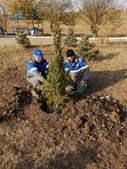 Посадка на участке аварийно-восстановительных работ № 1