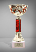 Кубок за первое место в чемпионате России по волейболу 2015 года.