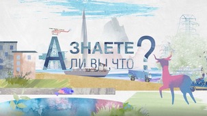 Стопкадр из первого эпизода познавательного мини-сериала "А знаете ли вы, что?"