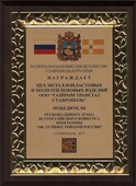 Диплом победителя регионального этапа Конкурса Программы "100 лучших товаров России"