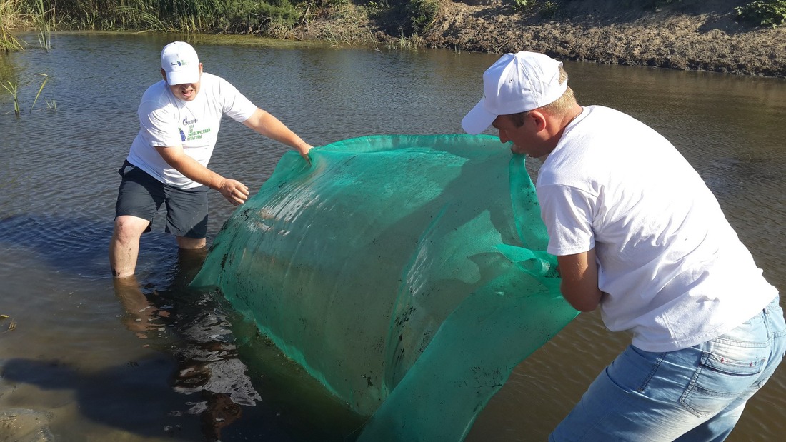 Газовики собирают рыбную молодь в пересыхающих притоках Волги