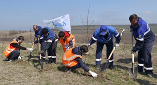 Акция на горе Кинжал, Кавказские Минеральные Воды