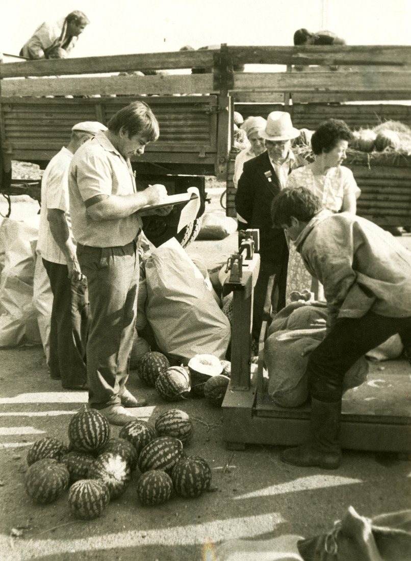 Невинномысское ЛПУМГ, 1990 год. Актив профкома раздает работникам предприятия арбузы