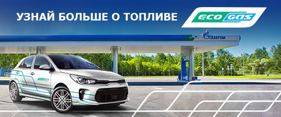 Топливо EcoGas