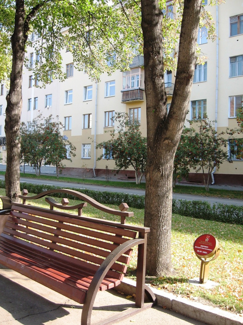 Дерево, посаженное Дмитрием Квитовичем на Аллее Героев в городе Кемерово