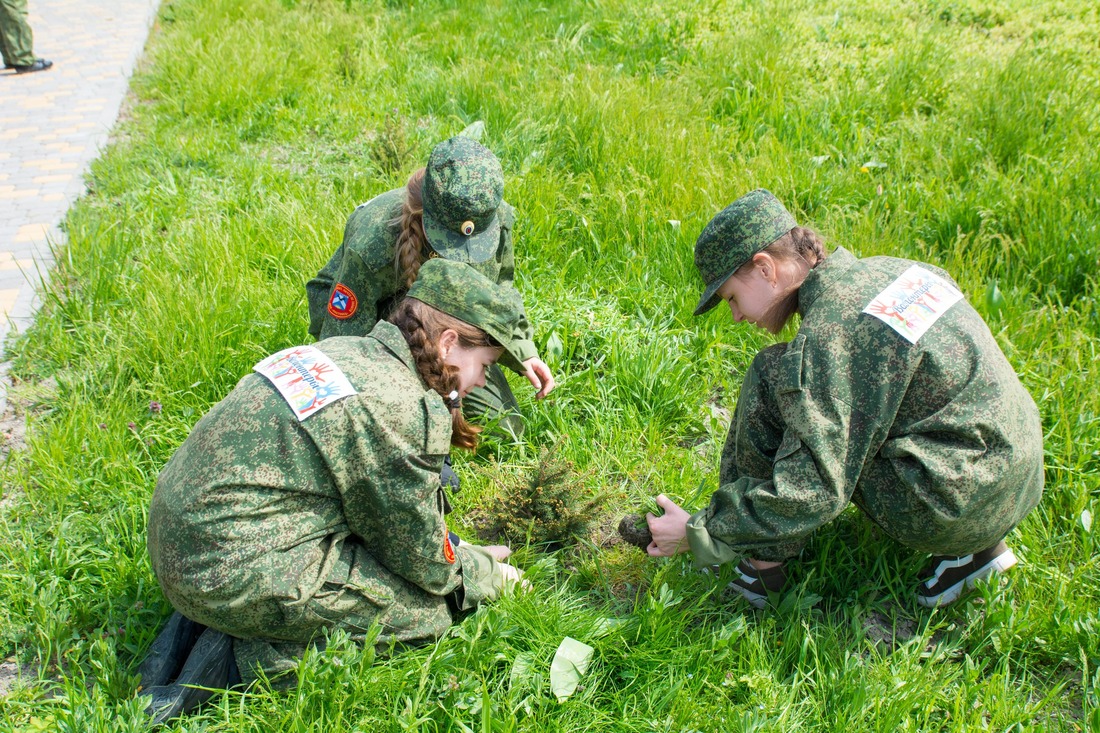 Высадка деревьев в сквере